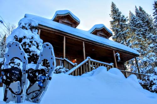 Saint-Faustin-Lac-Carre House | Chalet des Sources SPA Gazebo panoramique