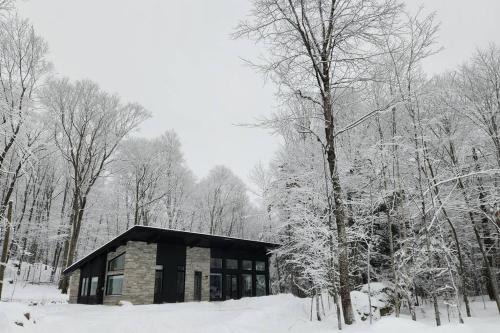 Lac Superieur Village Ski Chalet | Chalet FEU en pleine nature à Tremblant.