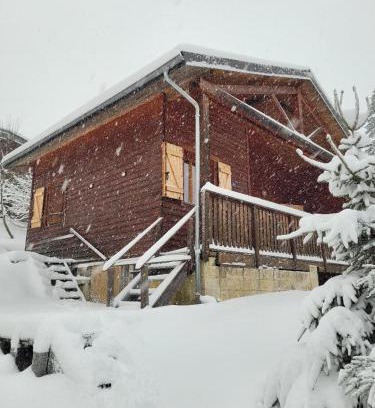 Saint-Laurent-en-Grandvaux Ski Chalet | Chalet les Randonneurs spacieux 8 couchages