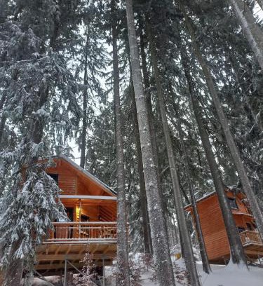 Busteni Cabin | Chalet Hay Huy