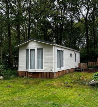 Schoonloo Ski Chalet | Chalet in Drenthe