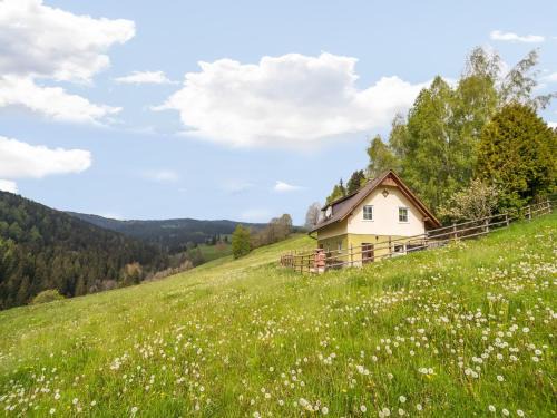 Untergreutschach House | Chalet in Sankt Andrä near Koralpe Ski Area