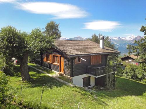 Nendaz Ski Chalet | Chalet Sven Heul by Interhome