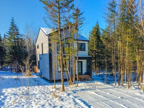 Pont-Rouge Ski Chalet | Chalet tout confort dans un domaine privé à 30 minutes de Québec