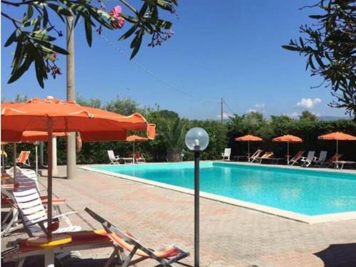 Foce Varano Apartment | Chalet Viola Beach Village
