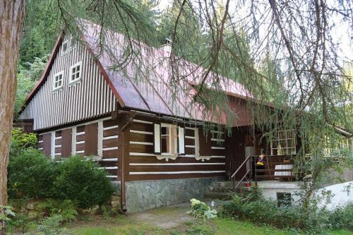 Korenov House | Chalupa pod Modřínem
