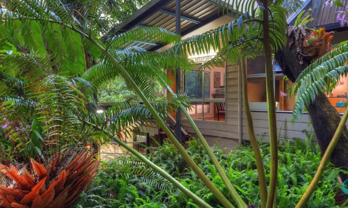 Lake Eacham Cabin | Chambers Wildlife Rainforest Lodges