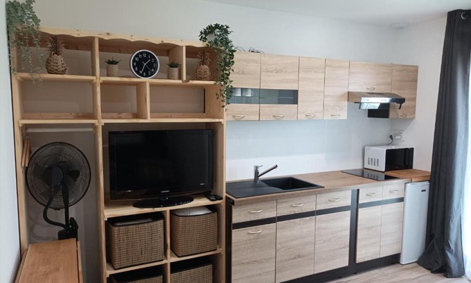 Villeneuve-les-Beziers Apartment | Chambre aménagé en studio