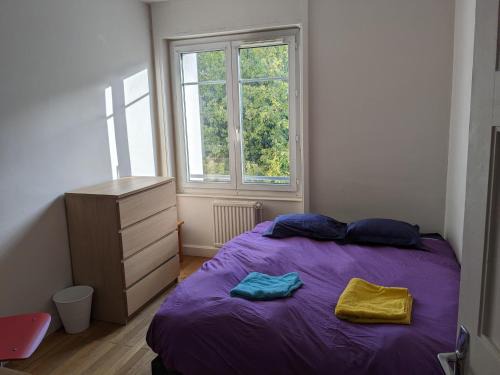 Gorge de Loup House | Chambre double confortable, au calme et très proche du centre-ville de Lyon