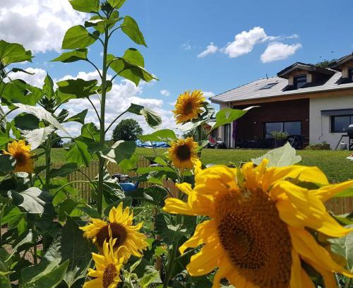 Servant Bed & Breakfast | Chambres d'hôtes La Ganivelle