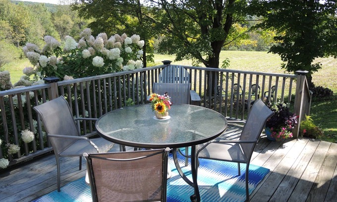 Hartwick House | Changing Seasons Game room, large yard, 3 bedroom/2 bath ranch, country setting
