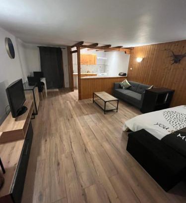 Saales Apartment | Charmant studio