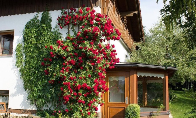 Ginselsried Apartment | Charmante UG-Wohnung mit Loggia und WLAN im Herzen des Bayerischen Waldes