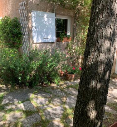 Saint-Gely-du-Fesc Villa | Charmante villa au calme proche de Montpellier, mer et rivière Animaux acceptés