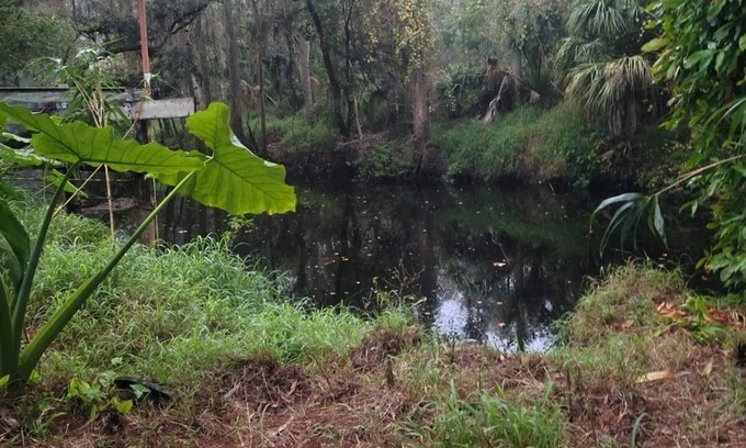 Anclote River Acres House | Charming 2-bedroom hunker bunker. great wildlife