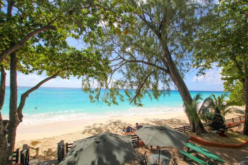 Worthing Apartment | Charming 2 bedroom apt on gorgeous quiet beach - Sea Star 3 apts by Bluescape