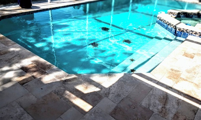 Goldenrod House | Charming 3-bedroom house with WiFi, AC in Winter Park