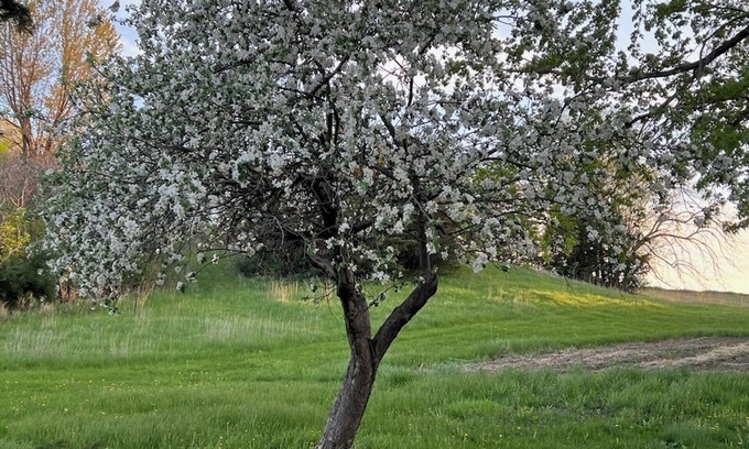 Rosemount Other | Charming 4-bedroom farmhouse in Rosemount with WiFi and AC
