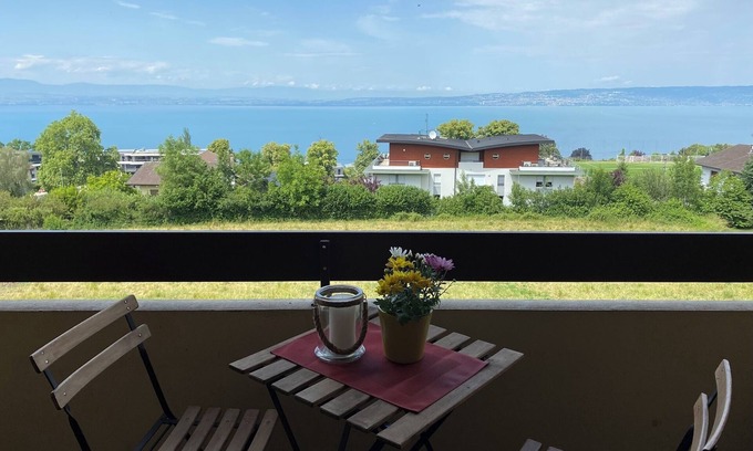 Evian-les-Bains Apartment | Charming apartment with exceptional view