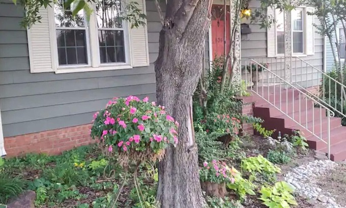 Central Oklahoma City House | Charming, bohemian-like cottage with a large, relaxing backyard