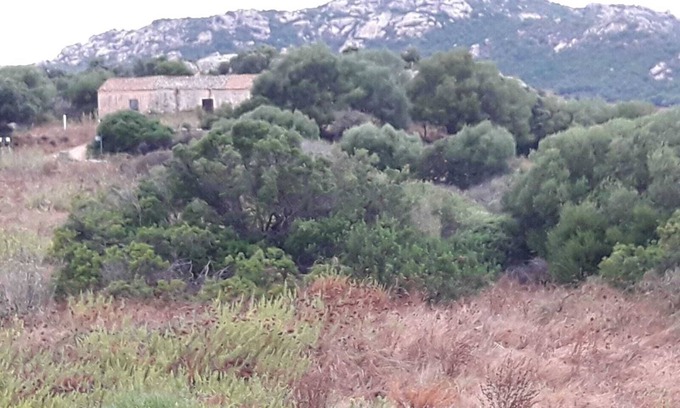 Cannigione House | Charming Countryside home near Costa Smeralda Sardinia, with beautiful sea views