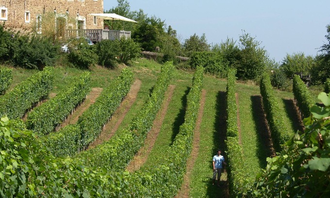 Lucq-de-Bearn House | Charming family house - restored 18th century Bearnaise farm