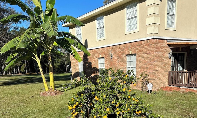 Havana Cottage | Charming Gated 2-bedroom cottage in Havana with WiFi, AC and Hot Tub.