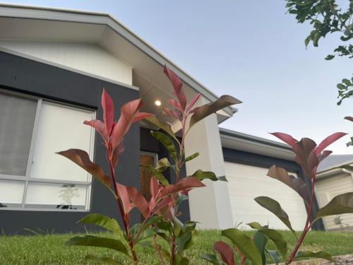 Griffin House | Charming Home in Griffin for Unforgettable stay