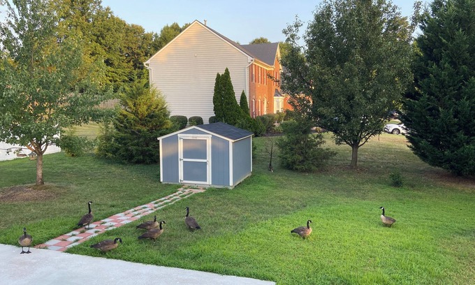Dale City House | Charming house in fabulous Woodbridge with AC, WiFi