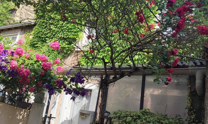 Amboise House | Charming house in the heart of the historic center of Amboise