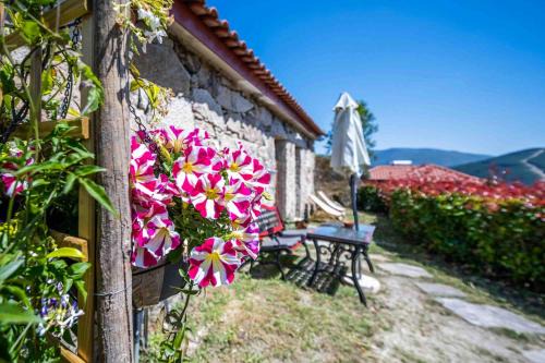 Mondim de Basto House | Charming house with mountain view in Vilar de Ferreiros