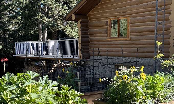 Alhambra Cabin | Charming Log Home Nestled in 7 Wooded Acres