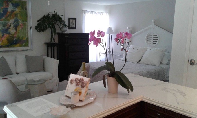 Central Sarasota House | Charming Private Garden Cottage hide away in the heart of Sarasota
