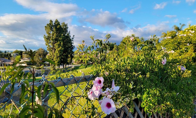Laguna Hills House | Charming Renovated Guest House