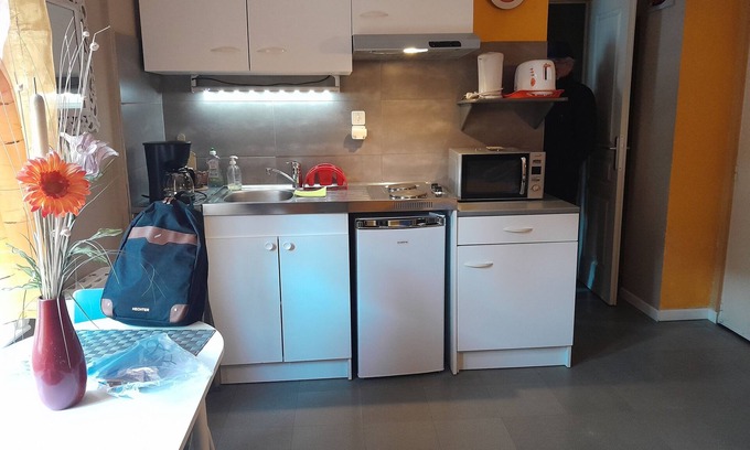 Luxeuil-les-Bains Apartment | Charming studio for curists or visitors next to the thermal baths