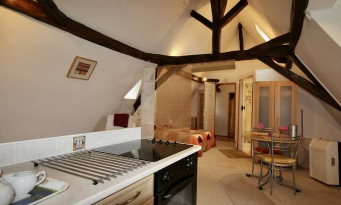 Bourniquel Apartment | Charming studio apartment - La Gentilhommière (PV)
