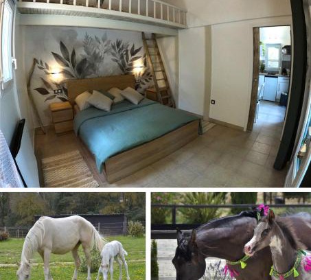 Camps-la-Source Apartment | Charming studio in an exceptional equestrian farm