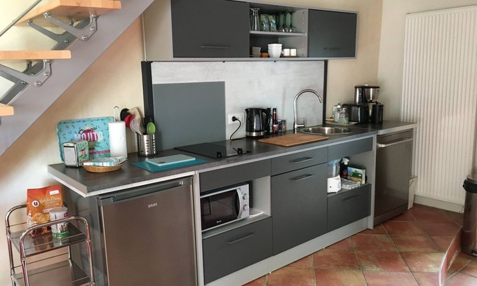Charnay-les-Macon Apartment | Charming T2 duplex amidst vineyards Pets welcome