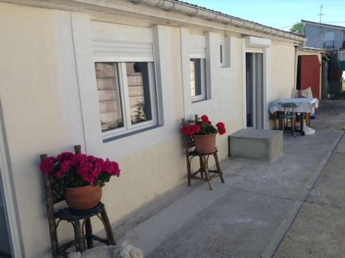 Dax House | Charming town centre house with garden
