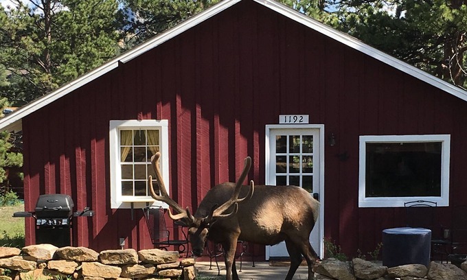 Estes Park Cabin | Charming Updated Rustic Cabin. Excellent Location Close to Town and RMNP!