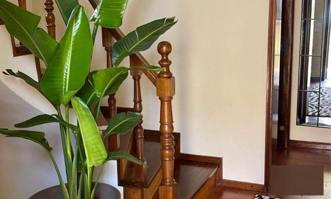 Vila do Conde House | Charming Vila do Conde Holiday Home with Garden and Ocean Views