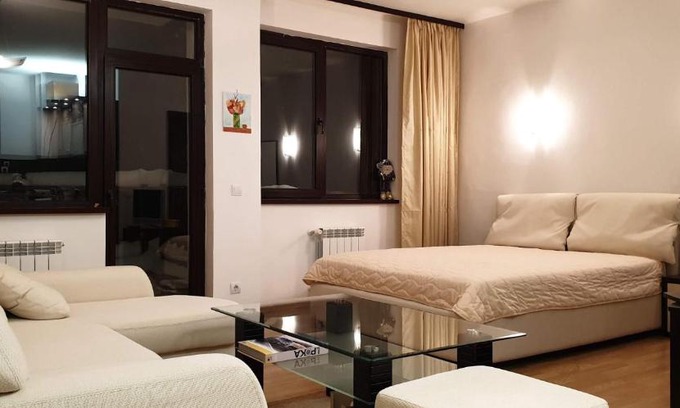 Borovets Apartment | Charming Winter Studio