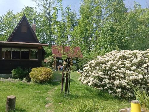 Raskovice House | Chata Evička a Jiříček