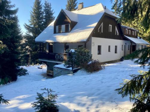 Harrachov Apartment | Chata Labaika