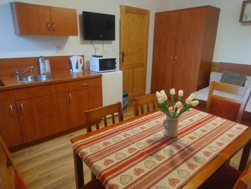 Dolni Moravice Apartment | Chata Martin
