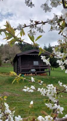 Vrhavec Ski Chalet | Chata na samotě, Šumava