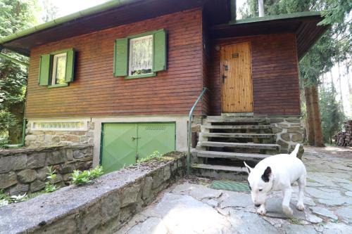Skrinarov Cabin | Chata Skřinářov