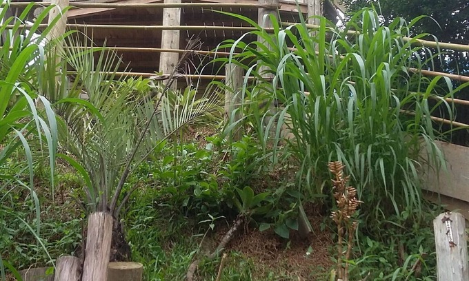 Praia do Rosa Ski Chalet | Cheap Season House in Praia do Rosa