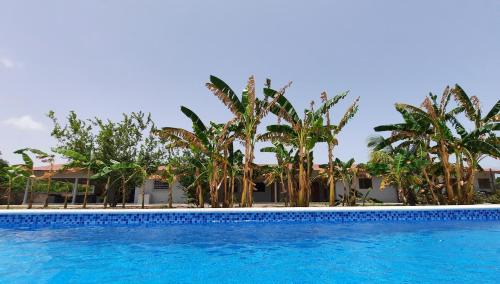 Toubakouta Bed & Breakfast | Chez Nous Chez Vous