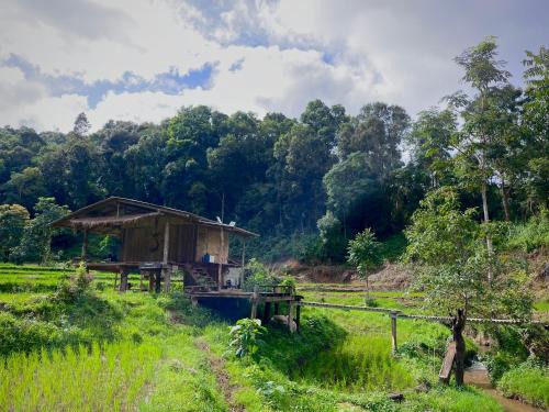 Samoeng House | Chibacall ชิบะคอล Chiang Mai hideaway Homestay